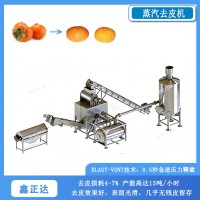 全自动蒸汽去皮机 商用土豆红薯果蔬去皮设备