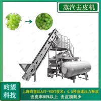 大容量工业级环境友好适用于果蔬加工蒸汽去皮机