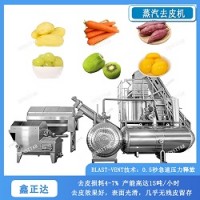 鑫正达沙参去皮机 全自动果蔬去皮设备