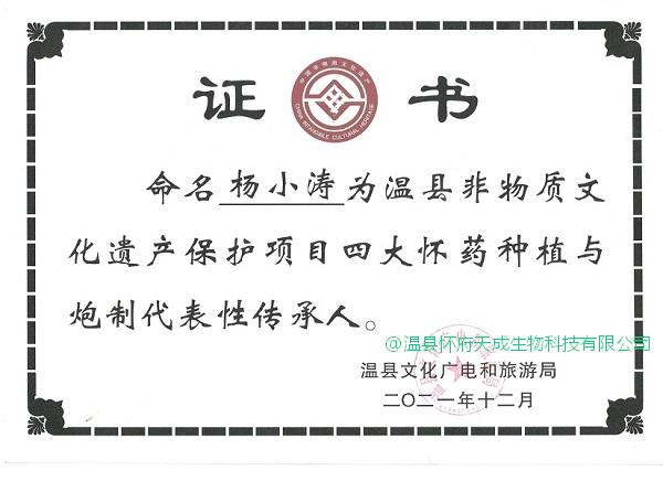 证书_温县非遗代表性传承人_四大怀药种植与炮制_杨小涛_2021.jpg